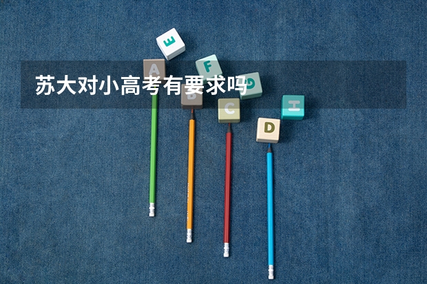 苏大对小高考有要求吗