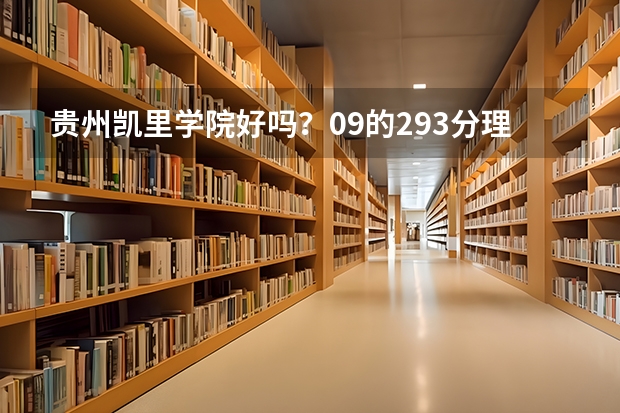 贵州凯里学院好吗？09的293分理科能进吗