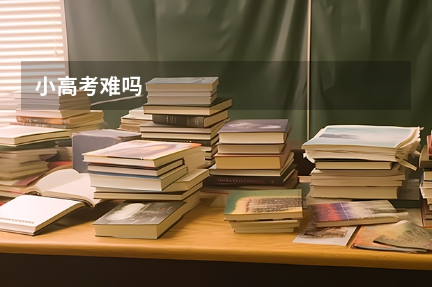 小高考难吗