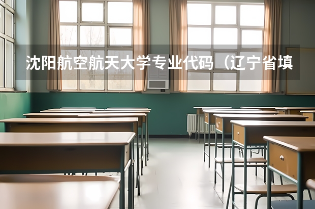 沈阳航空航天大学专业代码（辽宁省填报高考志愿时用的院校代码与专业代码应该分别是几位？）