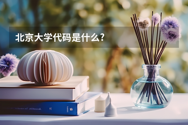 北京大学代码是什么?
