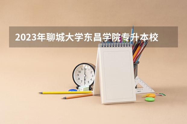 2023年聊城大学东昌学院专升本校荐生各专业投档分数线发布！ 聊城大学东昌学院专科录取分数线