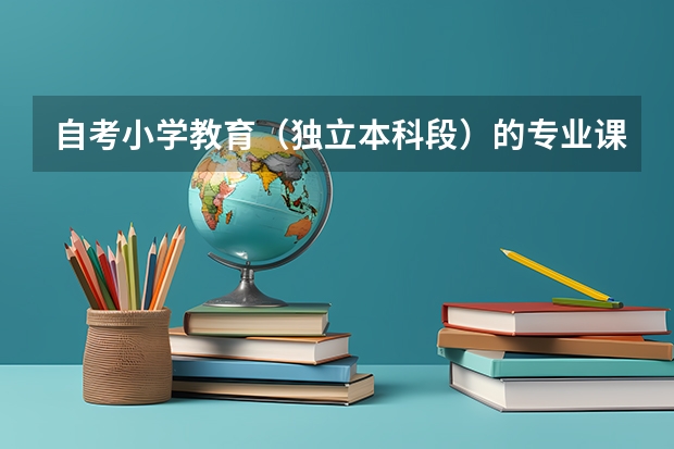 自考小学教育（独立本科段）的专业课程列表中的选考一组，选考二组，选考三组，加考二类一组是什么意思？
