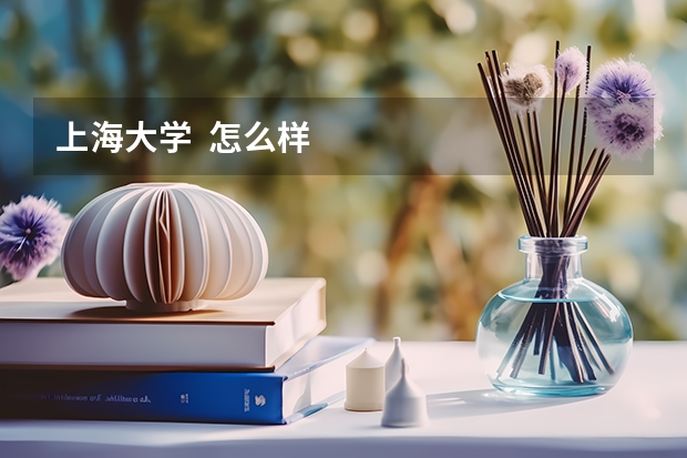 上海大学 怎么样