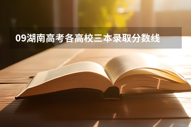 09湖南高考各高校三本录取分数线.. 成人高考安阳师范学院录取分数线?