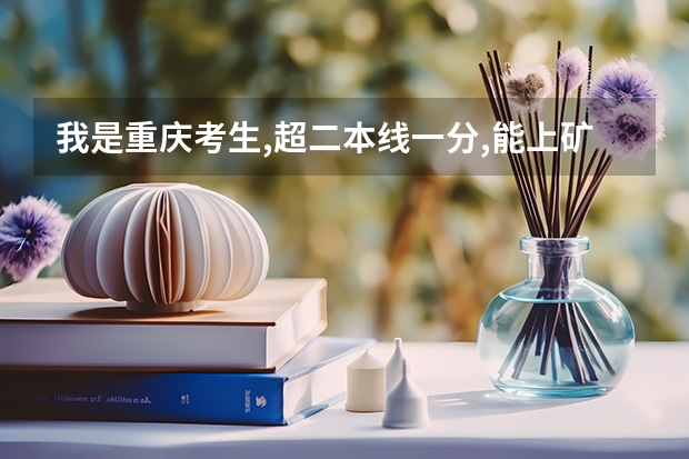 我是重庆考生,超二本线一分,能上矿大银川学院吗