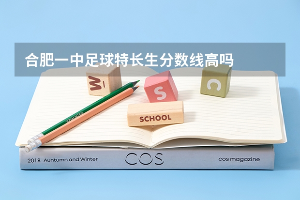 合肥一中足球特长生分数线高吗