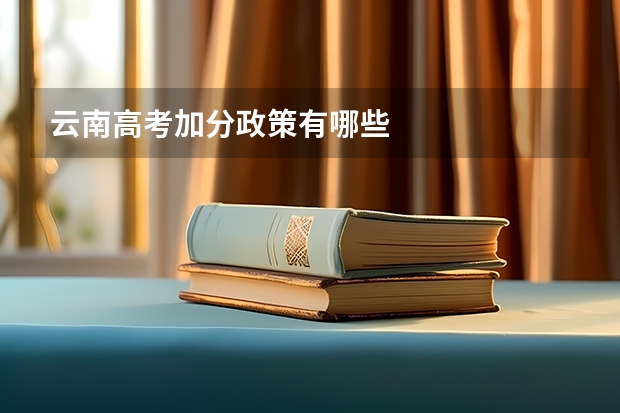 云南高考加分政策有哪些