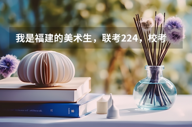 我是福建的美术生,联考224,校考只过了怀化学院,文化300左右,我能上什么学校?20 16是福建全国卷。