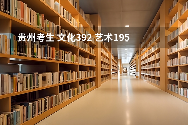 贵州考生 文化392 艺术195 可以读那? 美术特长生 2本可以么?3本有哪里好的可以读