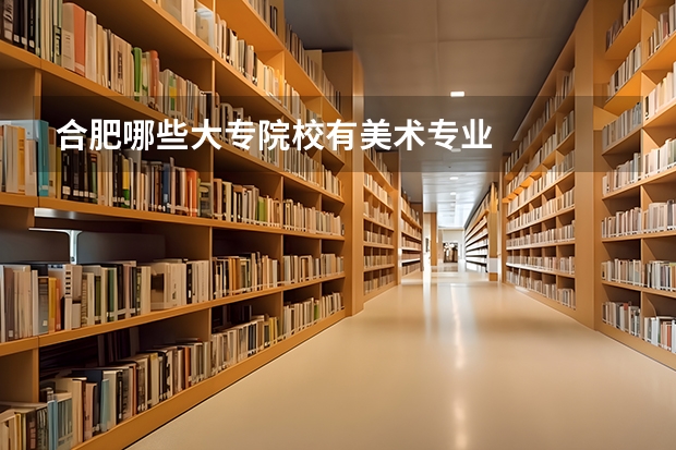 合肥哪些大专院校有美术专业