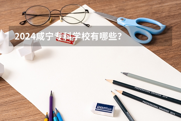 2024咸宁专科学校有哪些?
