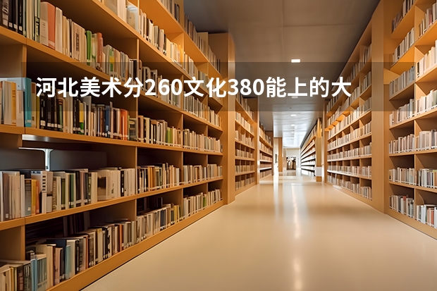 河北美术分260文化380能上的大学（沧州师范学院计算机河北分数线）