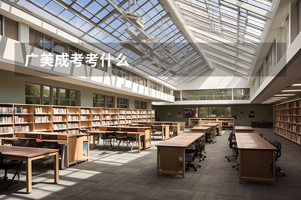 广美成考考什么