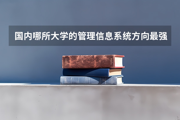 国内哪所大学的管理信息系统方向最强？或给出排名,比如要考博士，硕士的话，哪些学校比较好，都作哪些方面的研究？