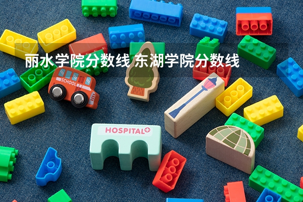 丽水学院分数线 东湖学院分数线