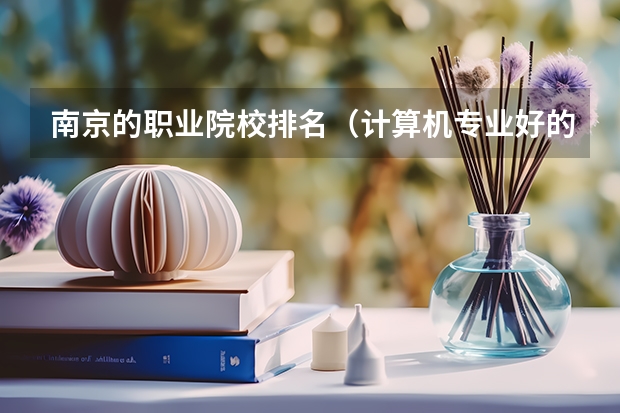 南京的职业院校排名（计算机专业好的大专学校排名）
