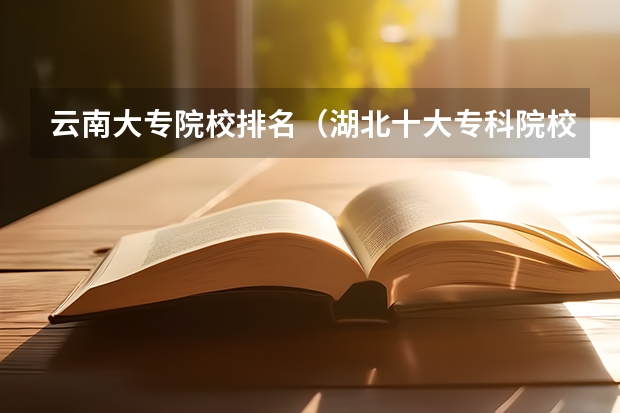 云南大专院校排名（湖北十大专科院校排名）
