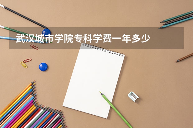 武汉城市学院专科学费一年多少