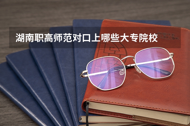 湖南职高师范对口上哪些大专院校