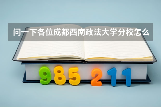 问一下各位成都西南政法大学分校怎么样