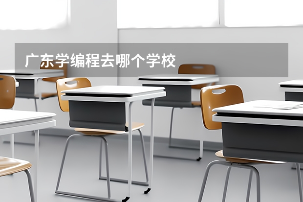 广东学编程去哪个学校
