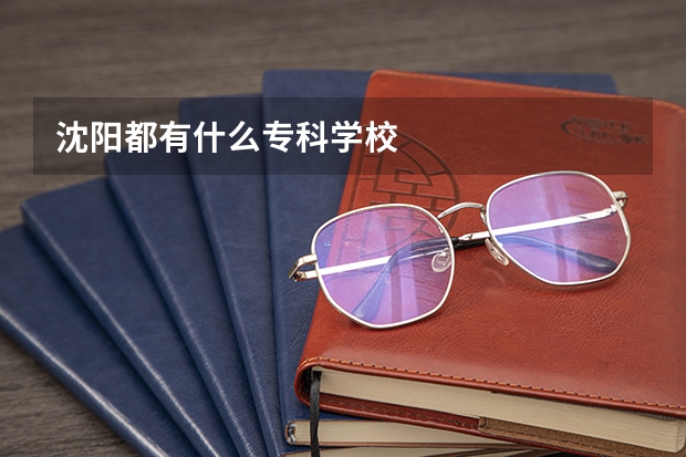 沈阳都有什么专科学校