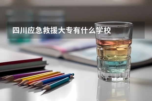 四川应急救援大专有什么学校