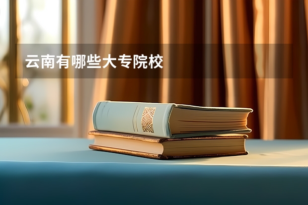 云南有哪些大专院校