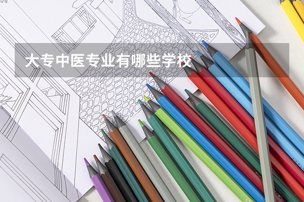 大专中医专业有哪些学校