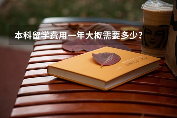 本科留学费用一年大概需要多少？