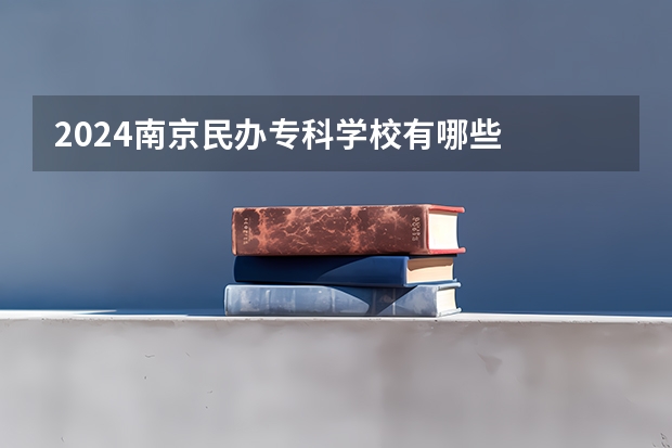 2024南京民办专科学校有哪些