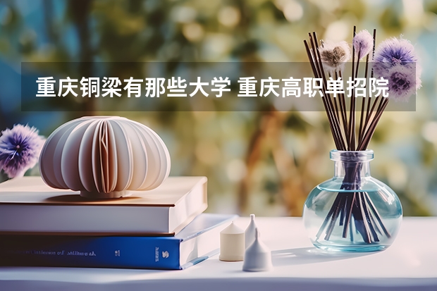 重庆铜梁有那些大学 重庆高职单招院校名单及院校排名榜