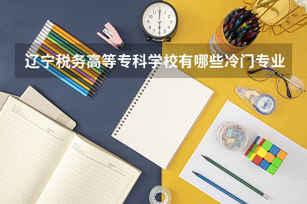辽宁税务高等专科学校有哪些冷门专业?