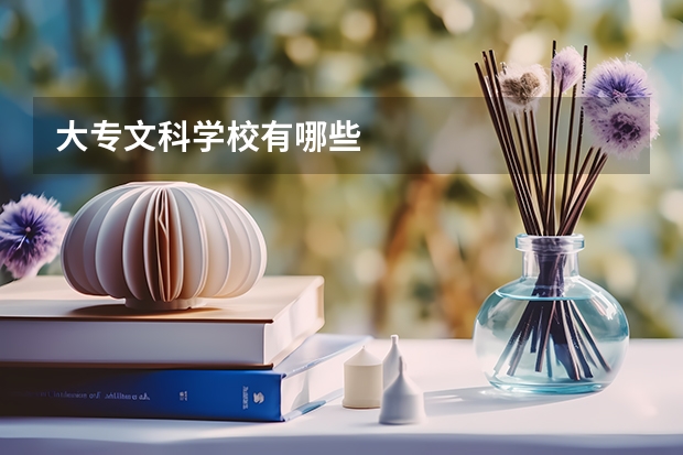 大专文科学校有哪些