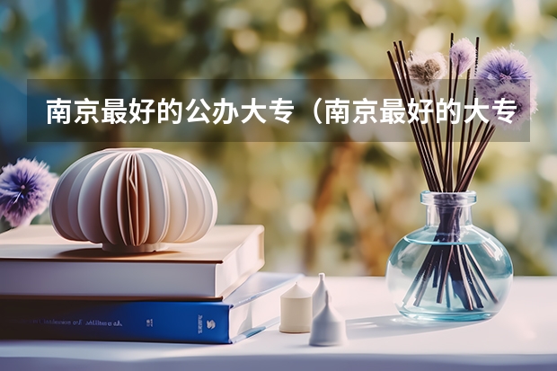 南京最好的公办大专（南京最好的大专排名）