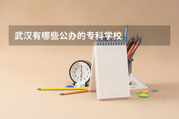 武汉有哪些公办的专科学校
