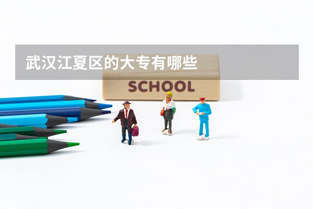 武汉江夏区的大专有哪些