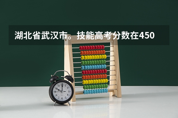 湖北省武汉市。技能高考分数在450左右公办大专有什么学校？