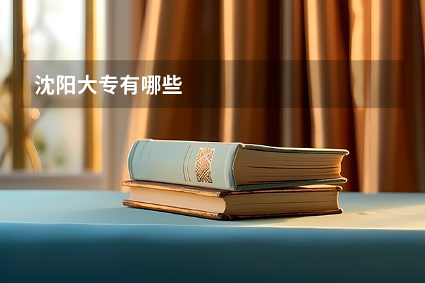 沈阳大专有哪些