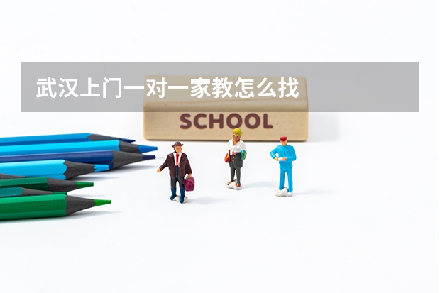 武汉上门一对一家教怎么找