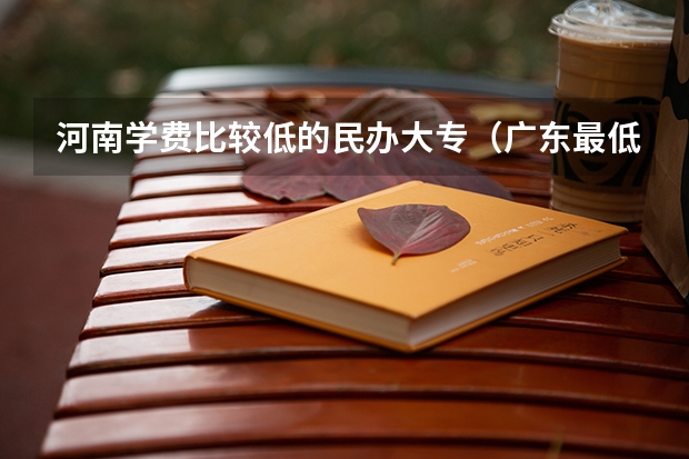 河南学费比较低的民办大专（广东最低学费的大专）