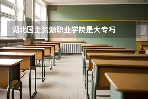 湖北国土资源职业学院是大专吗