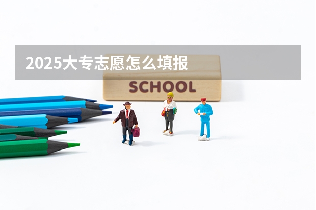 2025大专志愿怎么填报