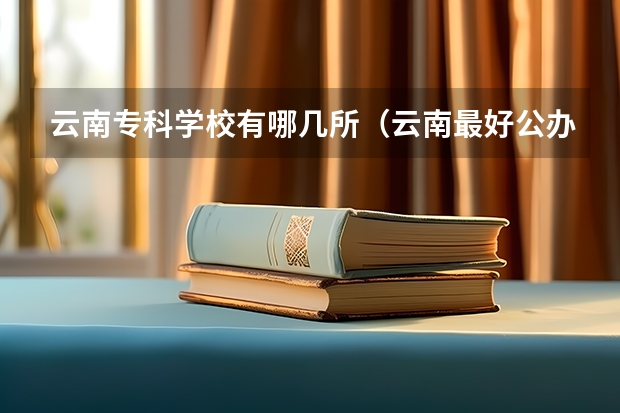 云南专科学校有哪几所（云南最好公办专科大学）