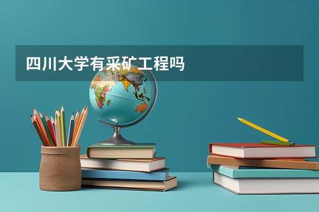 四川大学有采矿工程吗