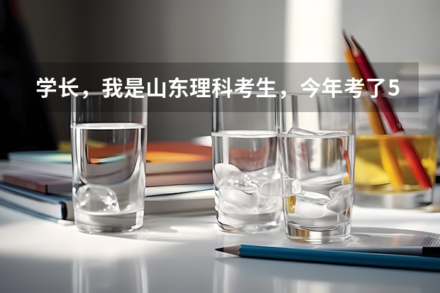 学长，我是山东理科考生，今年考了500分能来吗？