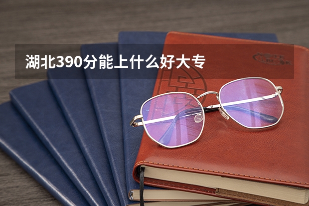 湖北390分能上什么好大专