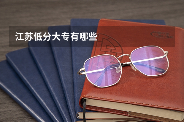 江苏低分大专有哪些