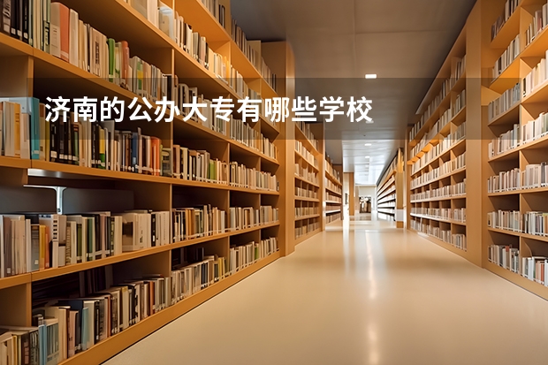 济南的公办大专有哪些学校